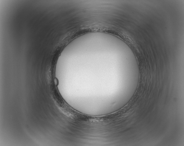 X0000075920690200609151104