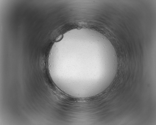 X0000075920702200609151104