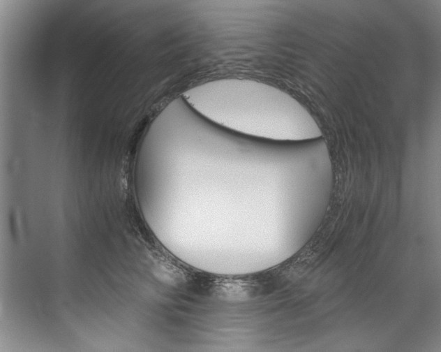 X0000075920710200609151104