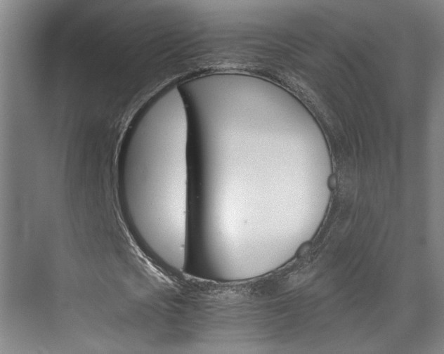 X0000075920721200609151103