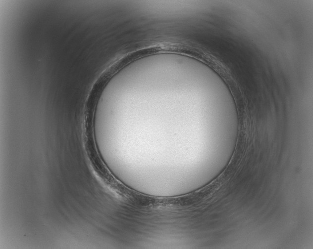 X0000075920730200609151103