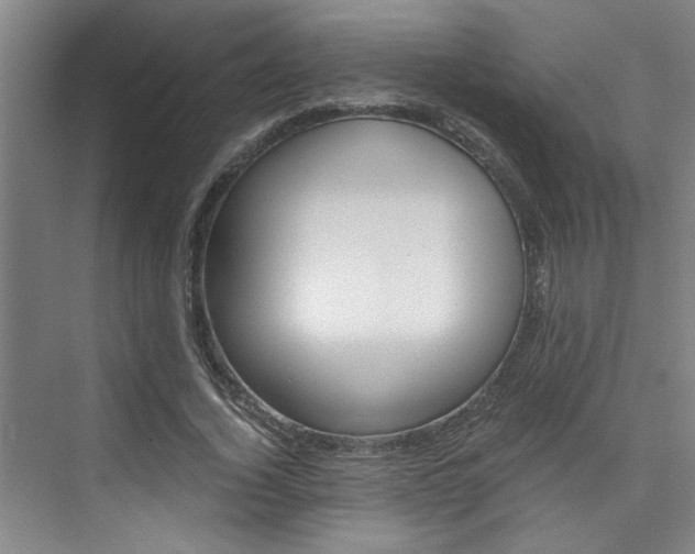 X0000075920732200609151103