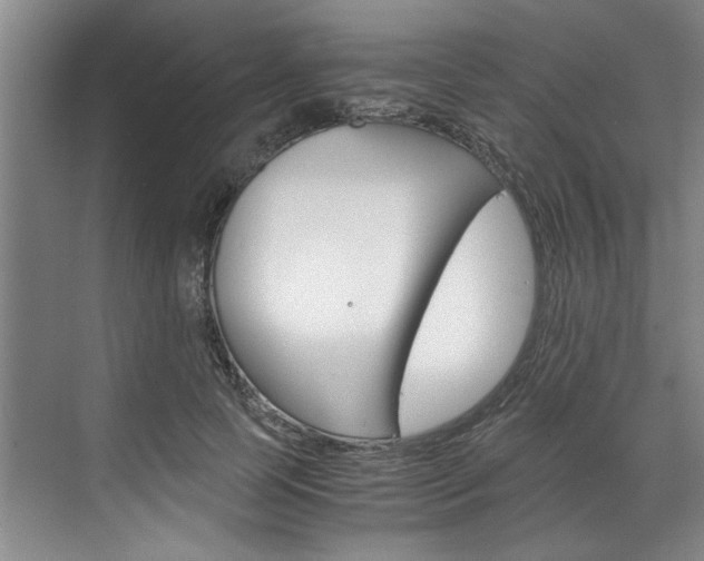 X0000075920745200609151103