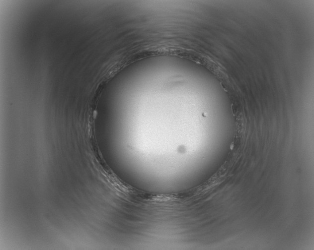 X0000075920762200609151104