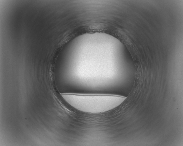 X0000075920764200609151104