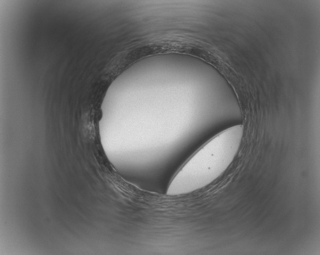 X0000075920771200609151103