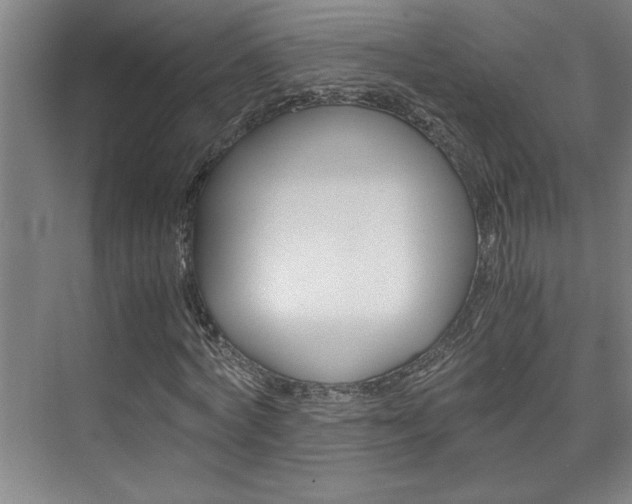 X0000075920772200609151103
