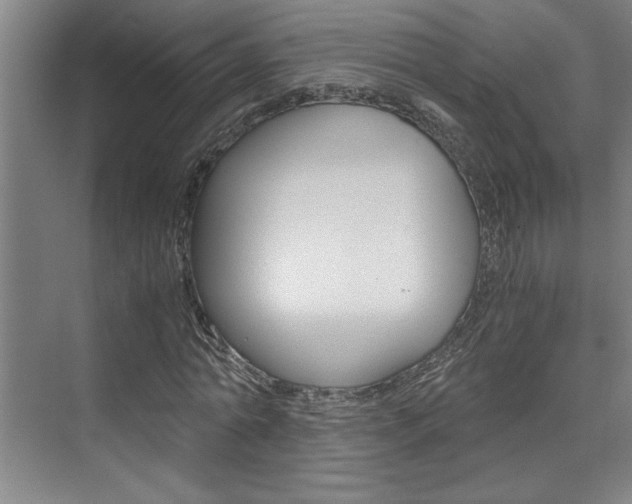 X0000075920774200609151103