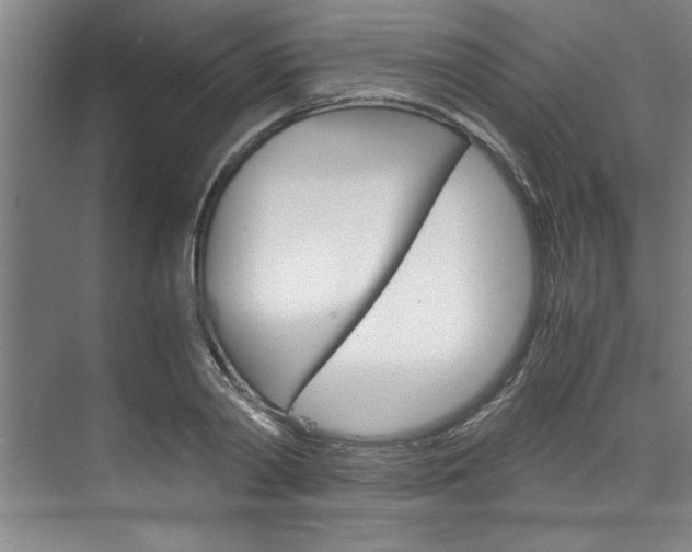 X0000075920790200609151103