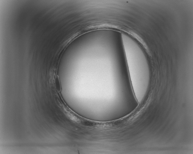 X0000075920793200609151103
