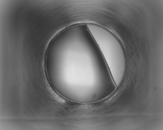 X0000075920797200609151102