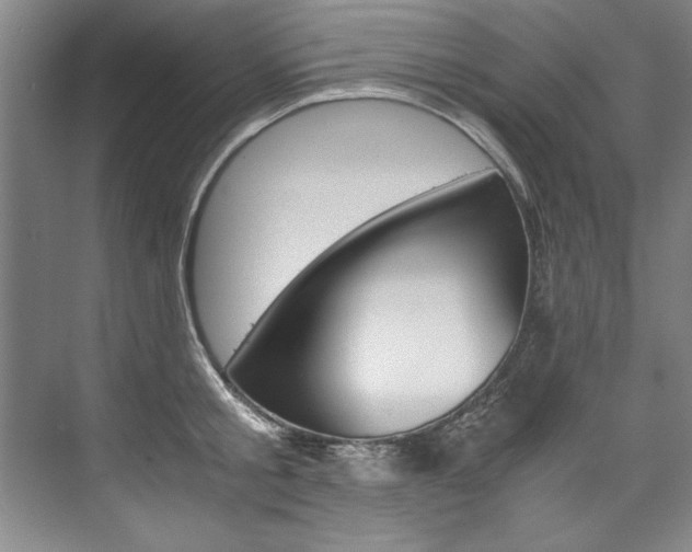 X0000075920805200609151102