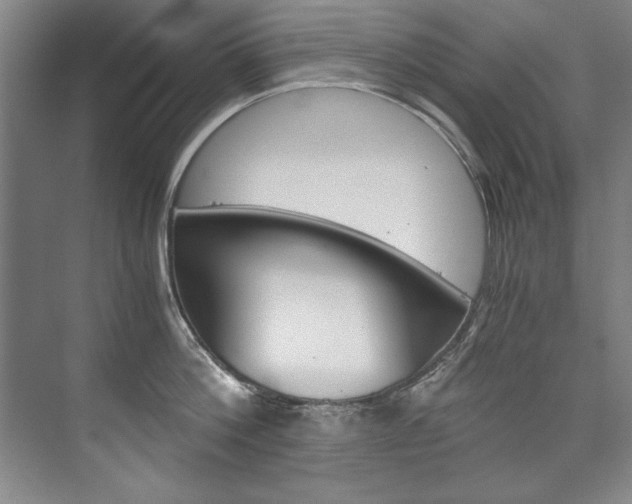 X0000075920812200609151102