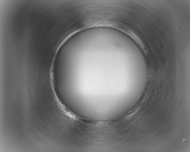 X0000075920814200609151102