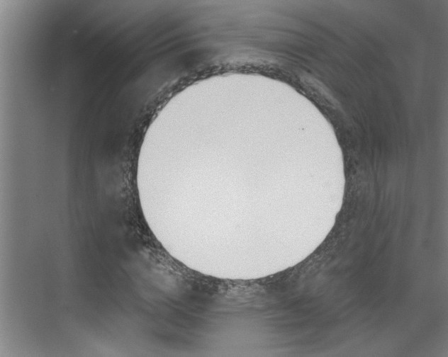 X0000075920824200609151101