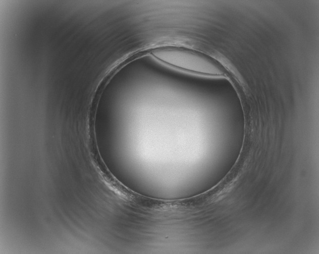 X0000075920834200609151102