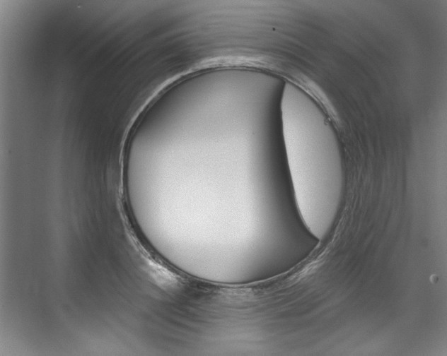 X0000075920844200609151102