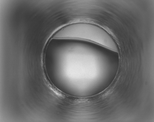 X0000075920846200609151102