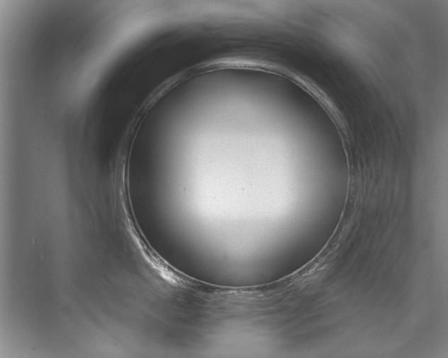 X0000075920862200609151102