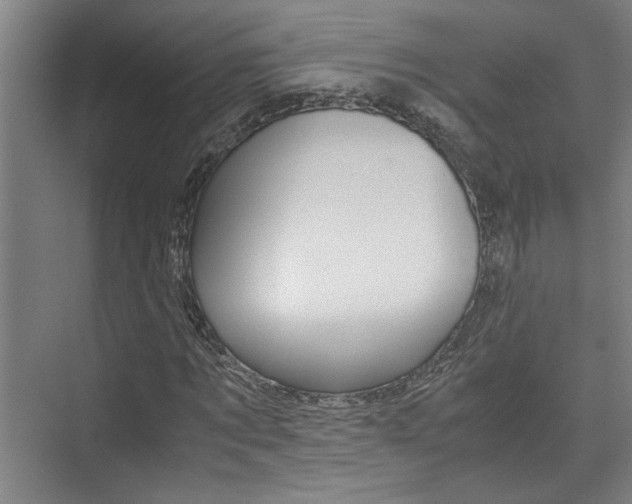 X0000075920869200609151101