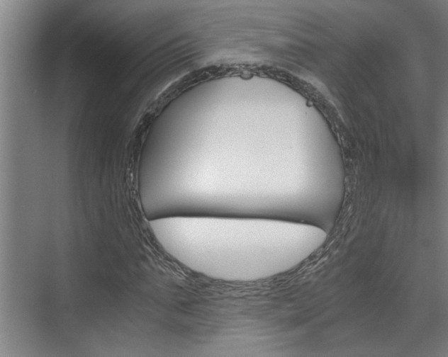 X0000075920871200609151101