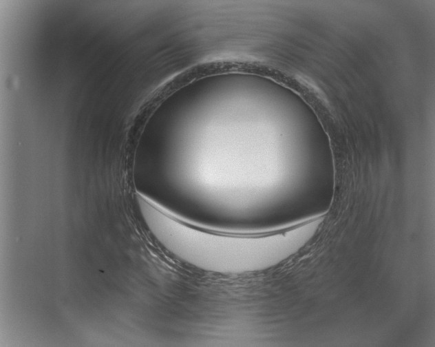 X0000075920872200609151101