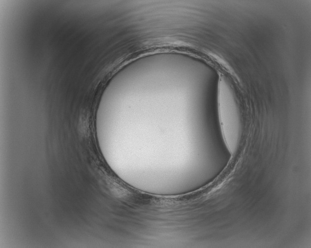 X0000075920873200609151101