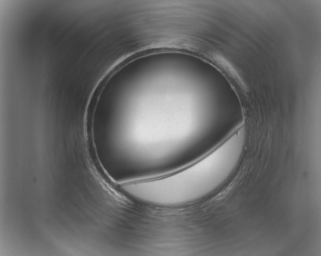 X0000075920884200609151101