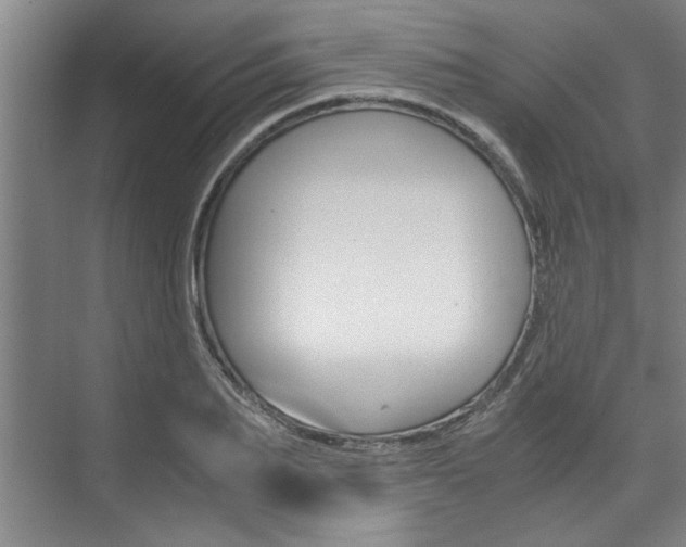 X0000075920887200609151101
