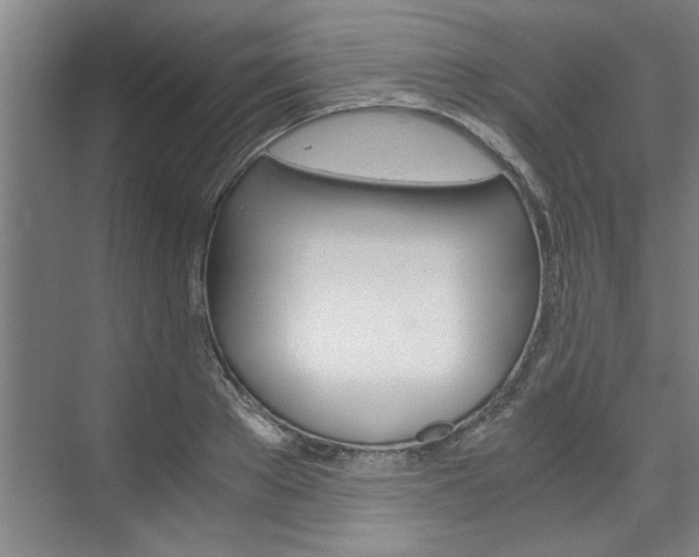 X0000075920889200609151101