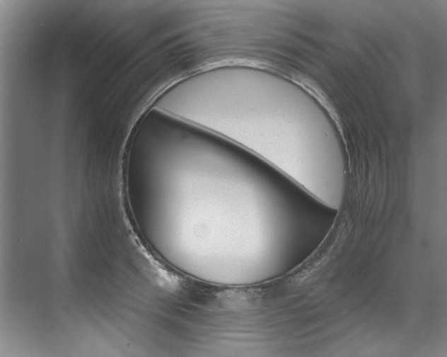 X0000075920898200609151101