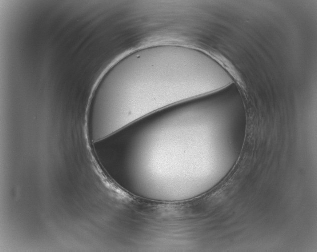 X0000075920904200609151101