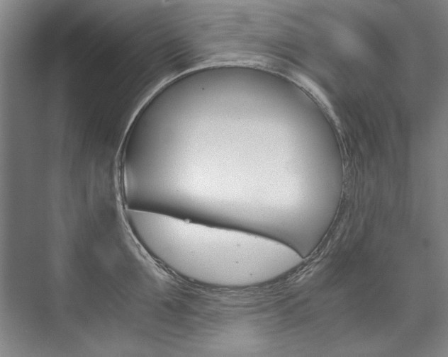 X0000075920907200609151101