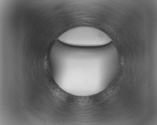 X0000075920915200609151100
