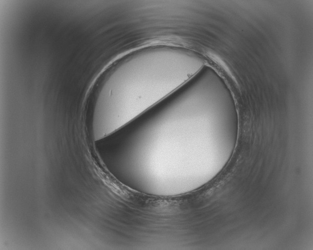X0000075920923200609151100