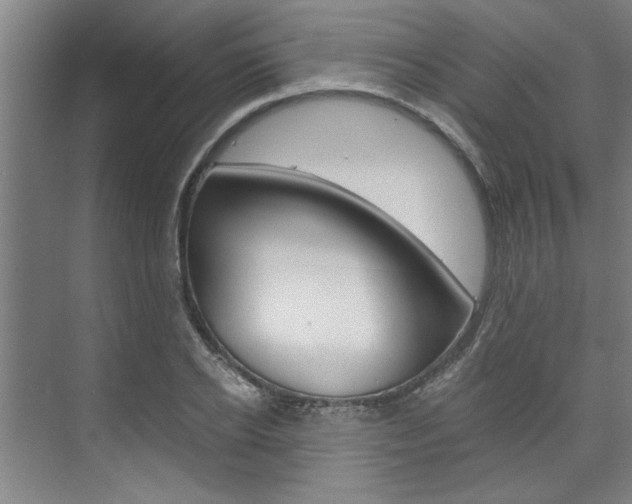 X0000075920934200609151100
