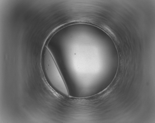 X0000075920940200609151100