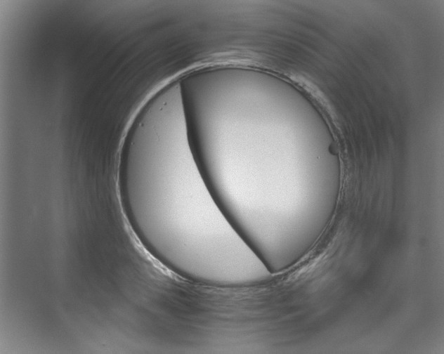 X0000075920941200609151100