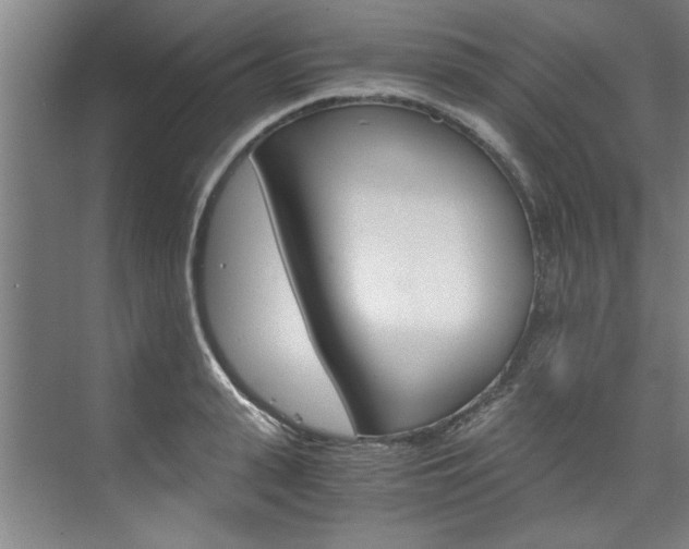 X0000075920943200609151100