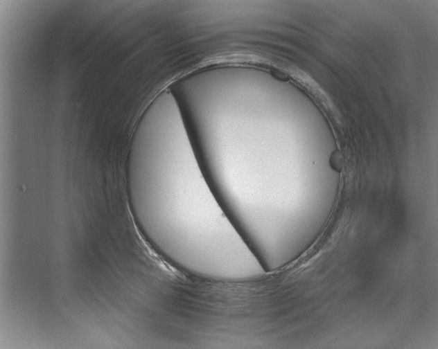 X0000075920945200609151100