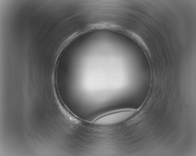 X0000075920946200609151100