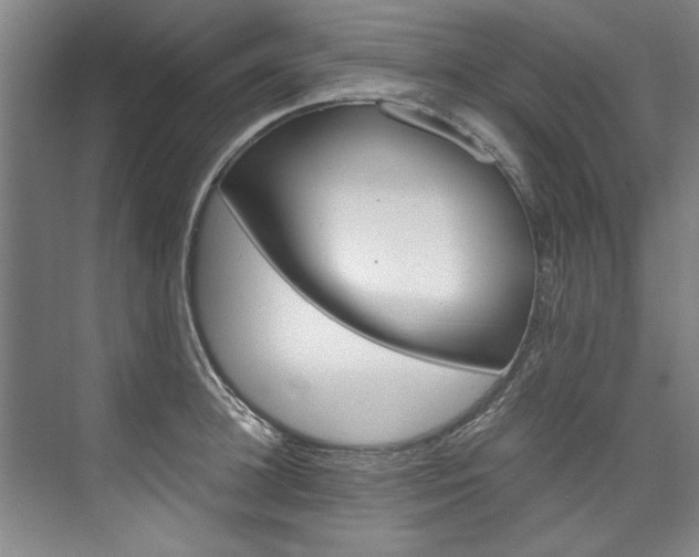 X0000075920948200609151100