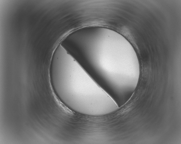 X0000075920954200609151100