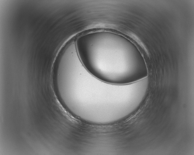 X0000075920972200609151100
