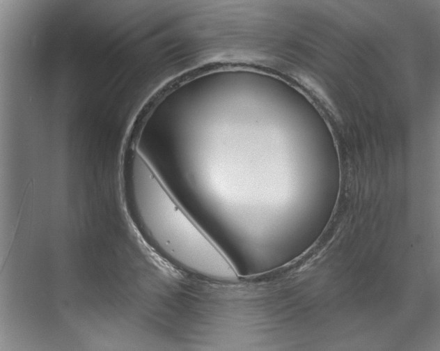 X0000075920976200609151059