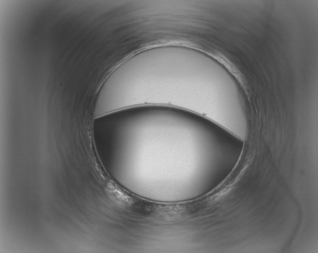 X0000075921001200609151059