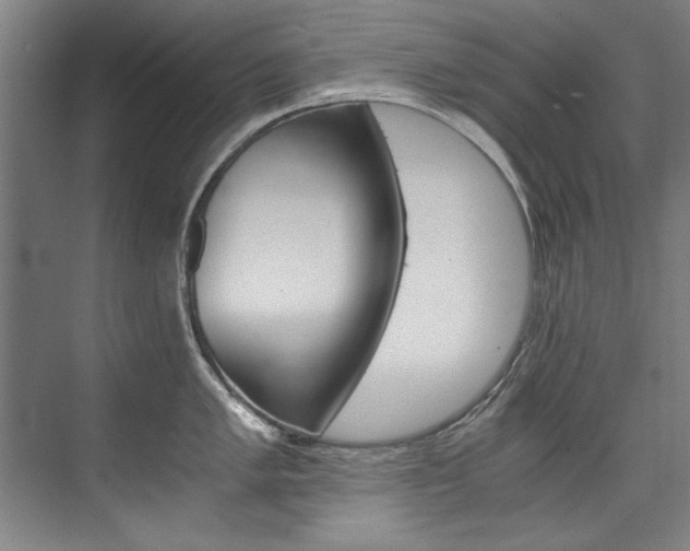 X0000075921005200609151059