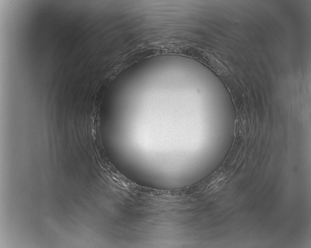 X0000075921010200609151058