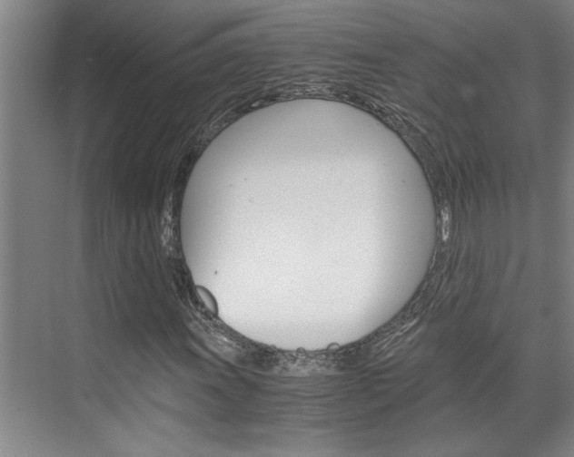 X0000075921011200609151058