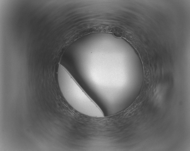 X0000075921013200609151058